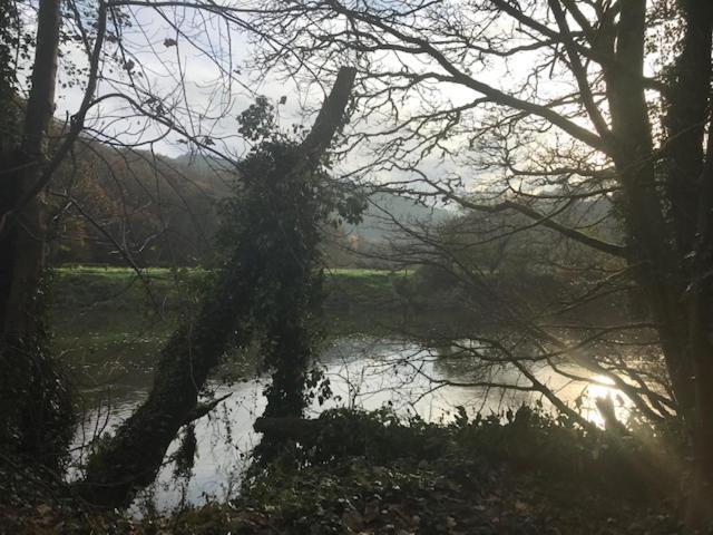 Riverside Stay Gunnislake Exteriör bild